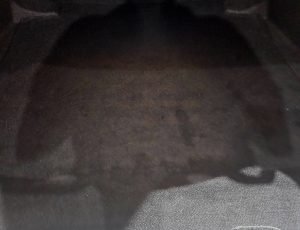 20260515_153100