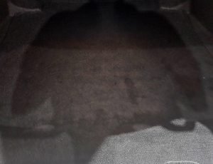 20260515_153100