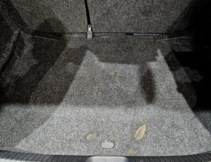 20260716_083243